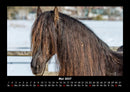 Pferdegeflüster Fotokalender 2027 - 5