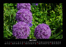 Blumenzauber Fotokalender 2027 - 4