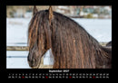 Pferde Kalender Fotokalender 2027 - 9