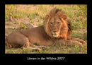 Löwen in der Wildnis Fotokalender 2027 - Hauptbild