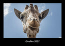 Giraffen Fotokalender 2027 - Hauptbild