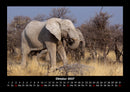 Der Elefantenkalender Fotokalender 2027 - 10