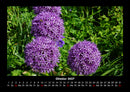 Blumenkalender Fotokalender 2027 - 10