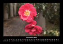 Blumenkalender Fotokalender 2027 - 12