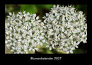 Blumenkalender Fotokalender 2027 - Hauptbild