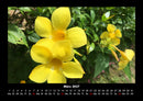 Blumenkalender Fotokalender 2027 - 3
