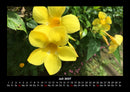 Blumenkalender Fotokalender 2027 - 7