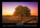 Bäume Fotokalender 2027 - 9