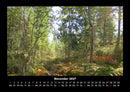 Bäume Fotokalender 2027 - 11