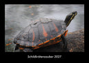 Schildkrötenzauber Fotokalender 2027 - Hauptbild