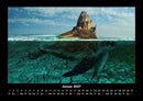 Schildkrötenzauber Fotokalender 2027 - 1