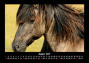 Die Welt der Pferde Fotokalender 2027 - 8