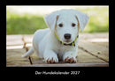 Der Hundekalender Fotokalender 2027 - Hauptbild