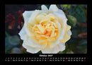 Rosentraum Fotokalender 2027 - 10