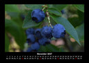 Obstkalender Fotokalender 2027 - 11