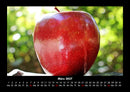 Obstkalender Fotokalender 2027 - 3