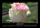 Blumenträume Fotokalender 2027 - 9