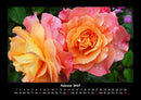 Blumenträume Fotokalender 2027 - 2