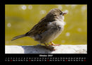Vogelparadies Fotokalender 2027 - 10
