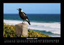 Vogelparadies Fotokalender 2027 - 11