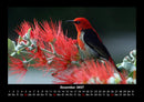 Vogelparadies Fotokalender 2027 - 12