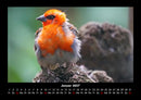 Vogelparadies Fotokalender 2027 - 1