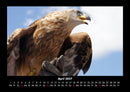 Vogelparadies Fotokalender 2027 - 4