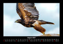 Vogelparadies Fotokalender 2027 - 8
