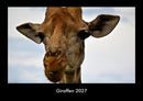 Giraffen Fotokalender 2027 - Hauptbild