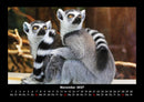 Welt der Tiere Fotokalender 2027 - 11