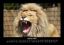 Welt der Tiere Fotokalender 2027 - 2