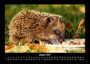 Welt der Tiere Fotokalender 2027 - 8