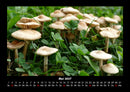 Natur Pur Fotokalender 2027 - 5