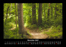 Waldzauber Fotokalender 2027 - 11