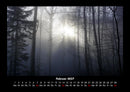Waldzauber Fotokalender 2027 - 2