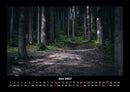 Waldzauber Fotokalender 2027 - 6