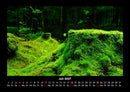 Waldzauber Fotokalender 2027 - 7