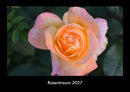 Rosentraum Fotokalender 2027 - Hauptbild