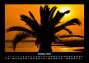 Palmentraum Fotokalender 2027 - 10