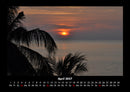 Palmentraum Fotokalender 2027 - 4