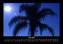 Palmentraum Fotokalender 2027 - 6
