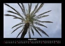 Palmentraum Fotokalender 2027 - 8