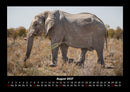 Elefanten  Fotokalender 2027 - 8