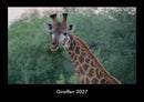 Giraffen Fotokalender 2027 - Hauptbild