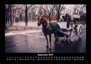 Pferde Kalender Fotokalender 2027 - 9