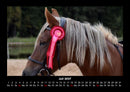 Pferde Kalender Fotokalender 2027 - 7