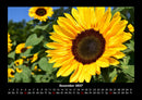 Blumenkalender Fotokalender 2027 - 12