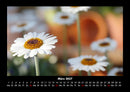 Blumenkalender Fotokalender 2027 - 3