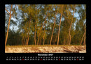 Bilder aus der Natur Fotokalender 2027 - 11