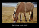 Die Welt der Pferde Fotokalender 2027 - Hauptbild